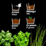 Kit plantes aromatiques bio à faire pousser avec sa serre châssis