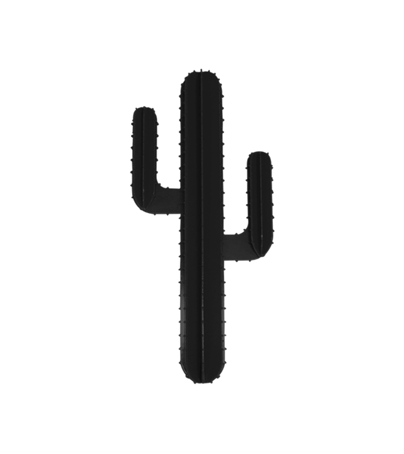 Le cactus sur mur