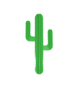 Le cactus sur mur