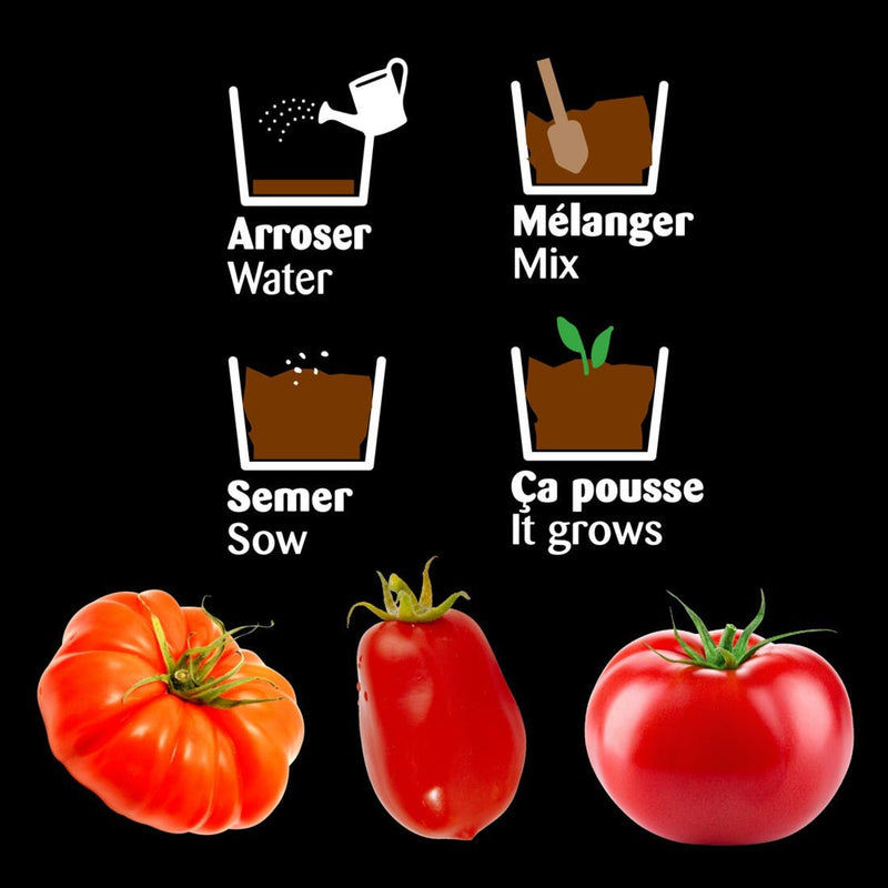Kit tomates bio anciennes à semer avec sa serre châssis
