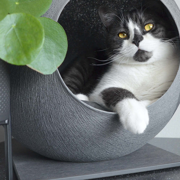 La cabane design pour chat : la cat's cave