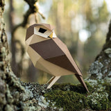 L'origami oiseau : Chouette Chevêche